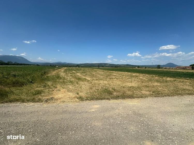 Teren 5000 mp Glajerie, zona Rasnov - 1