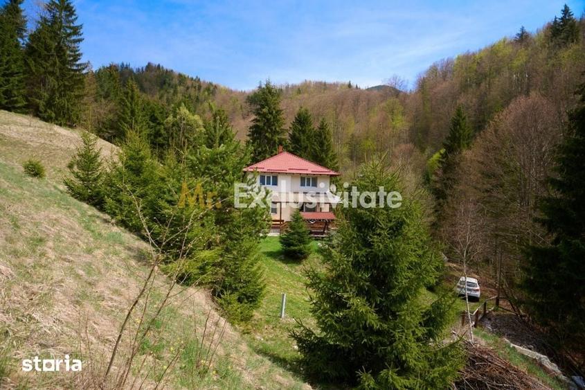 Casă cu 5 camere cu Teren 6412 Mp în Dâmbovicioara