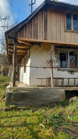 Casa la tara - 5