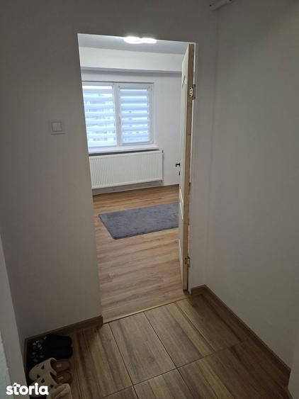 Apartament cu 3 camere decomandat în Banat