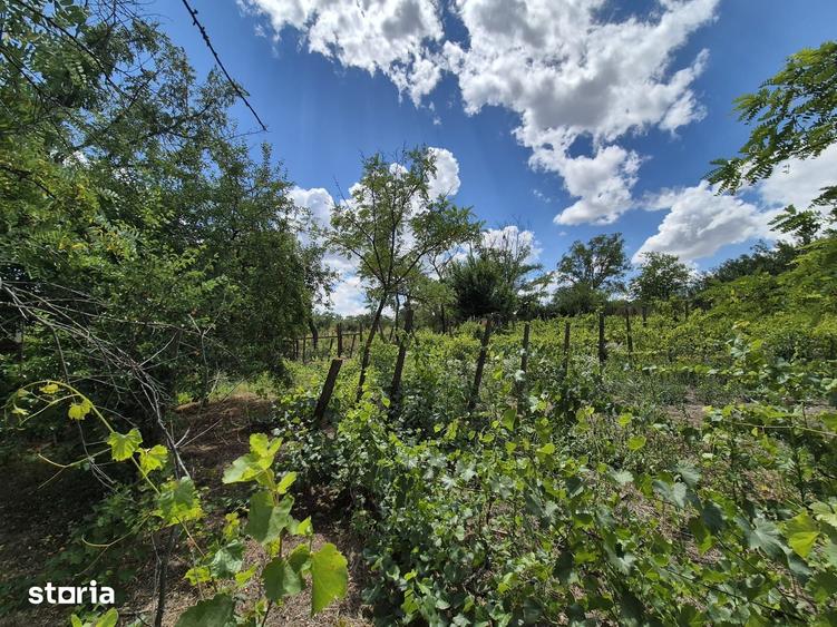 Casă cu 5 camere cu Teren 5867 Mp în Vârlezi
