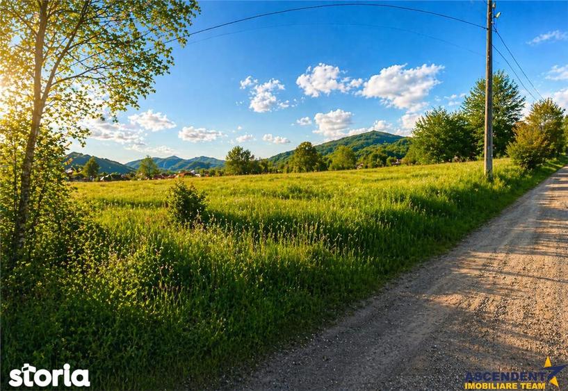 Teren intravilan panoramic, 5.750 mp, view munte, deschidere apreciabi - 3