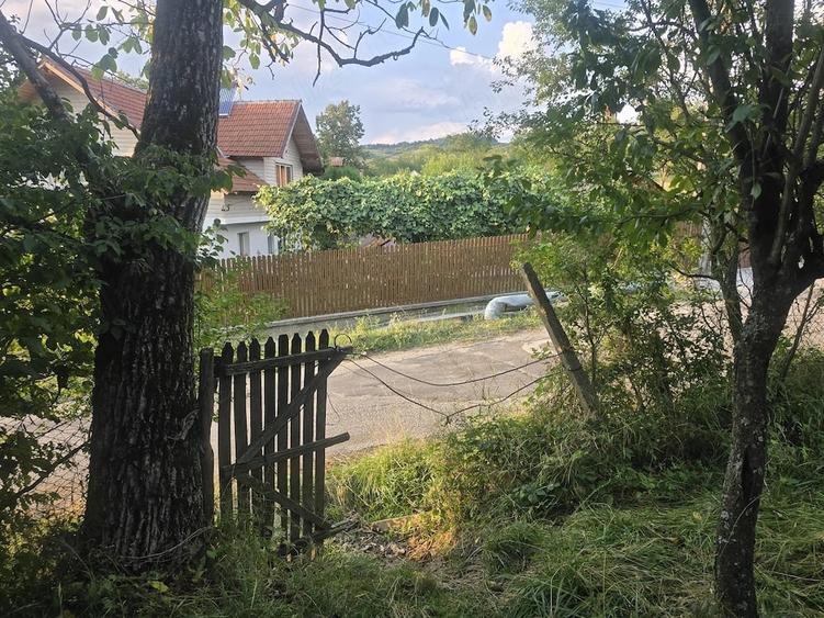 Vand teren intravilan in satul Vacarea, comuna Mihae?ti, in suprafa?a de 2.600 mp. - 6
