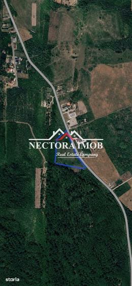 Teren de 700 mp, în Paleu