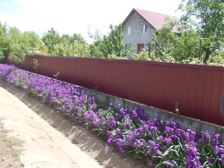 Casă individuală cu 5 camere cu Teren 1500 Mp în Dragalina (Cristinești)