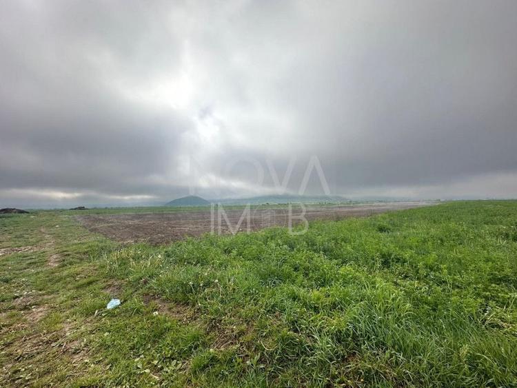 Teren agricol extravilan de 2710 mp, în Gura Râului