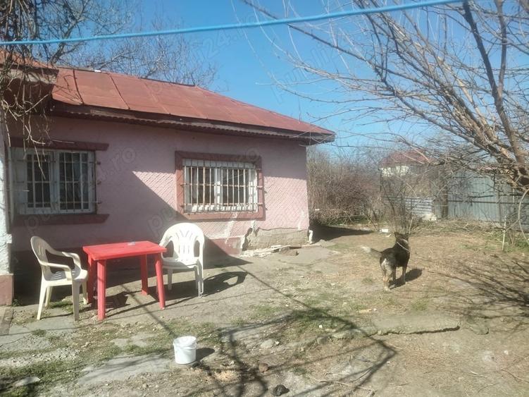 Casă cu 3 camere în Ilfoveni