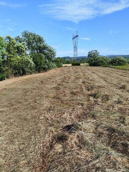 Teren de 3200 mp, în Culcea