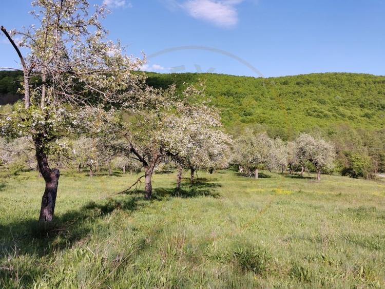 Teren agricol extravilan de 680 mp, în Budeasa Mică