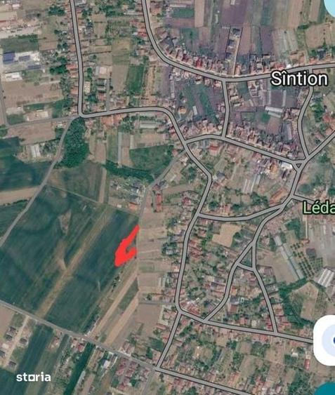 Teren de 10000 mp, în Borș