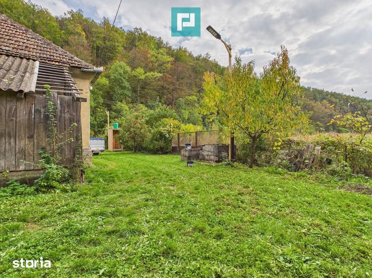 Casă cu 6 camere cu Teren 10439 Mp în Vărădia de Mureș