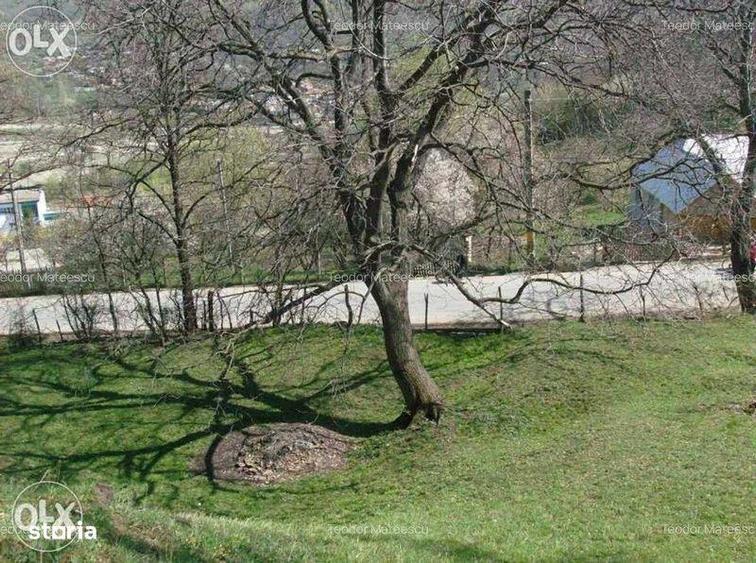 Teren de 3682 mp, în Măneciu