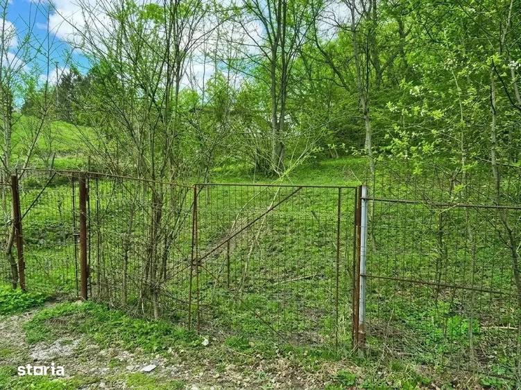 Teren Intravilan | Breaza | Provita De Jos | Valea Prahovei | - 1