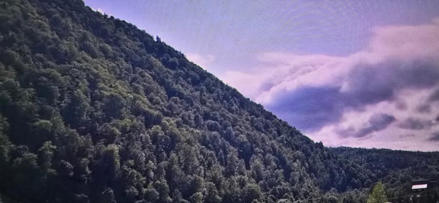 Teren agricol extravilan de 57000 mp, în Lepșa