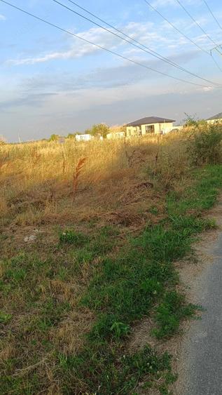 Teren de 1500 mp, în 1 Decembrie