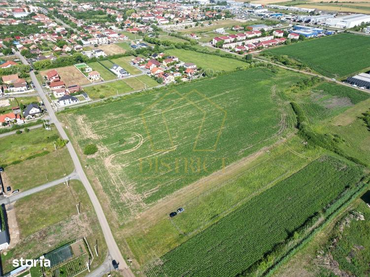 Teren de 1698 mp, în Buziașului