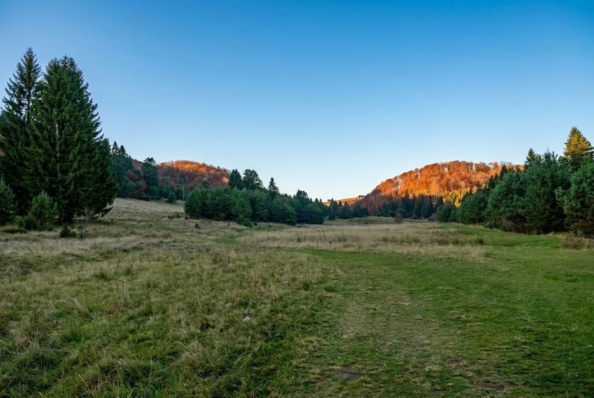 Teren Construcții intravilan de 1810 mp, în Brebina