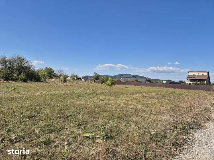 Teren intravilan- 1000mp- Harman-Brasov - 4
