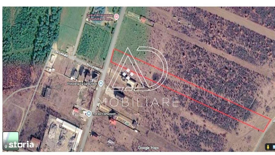 De Vanzare Teren 9.362 mp Targu Carbunesti - 11