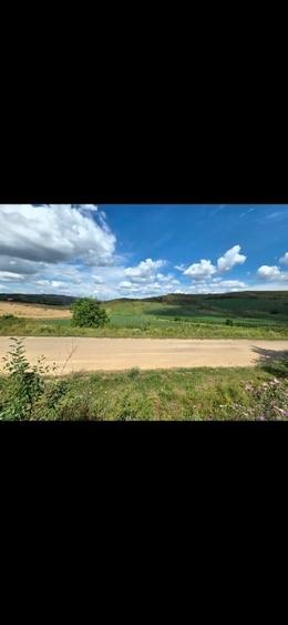 Teren agricol extravilan de 2900 mp, în Apahida