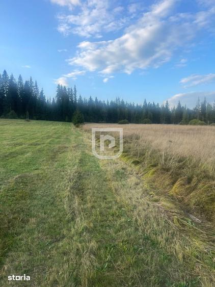 Teren de 5740 mp, în Poiana Stampei