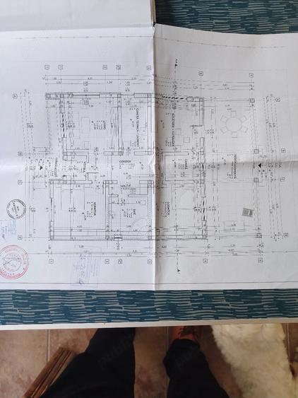 Casa mare la rosu, cu teren mare, zona frumoasa in Pancota - 9