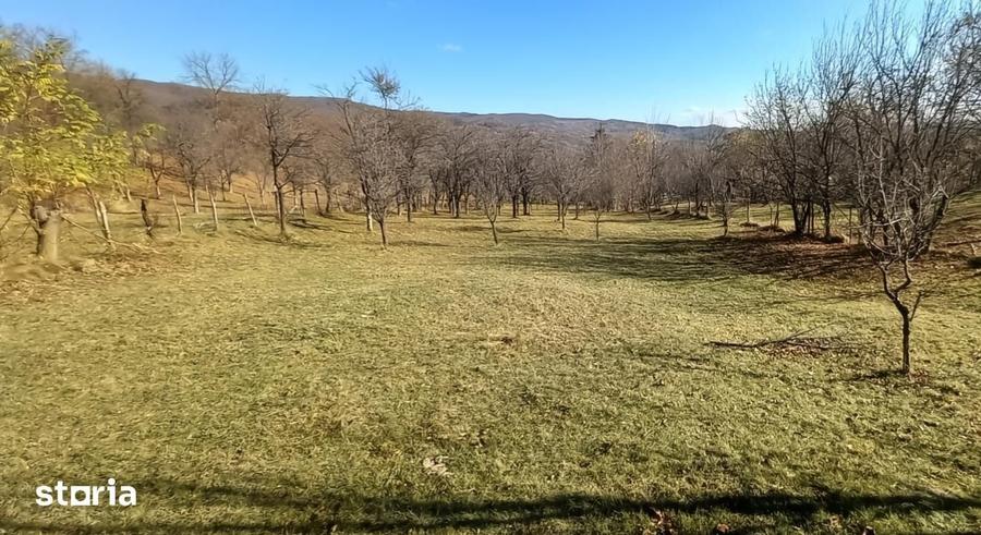 Teren de 3239 mp, în Șotrile