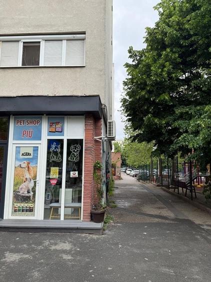 Spațiu comercial, de 16.5 mp, în Theodor Pallady