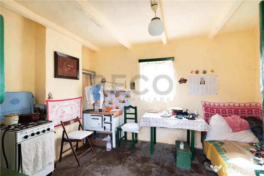 RECO Casa cu teren 3036mp, Bors - 8
