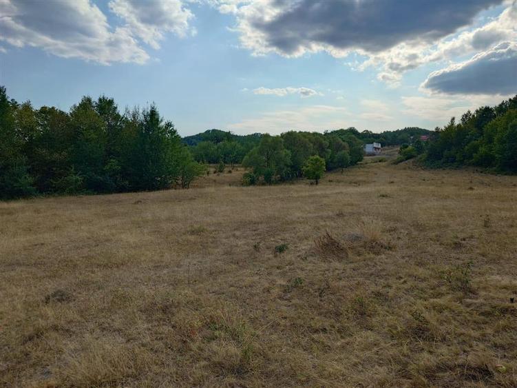 Teren agricol extravilan de 9059 mp, în Exterior Est