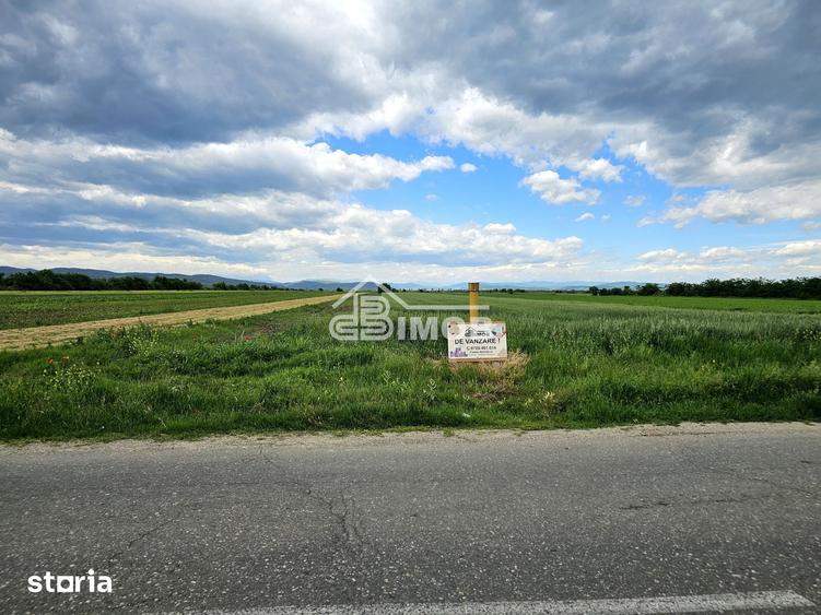 Teren de 2500 mp, în Brazi