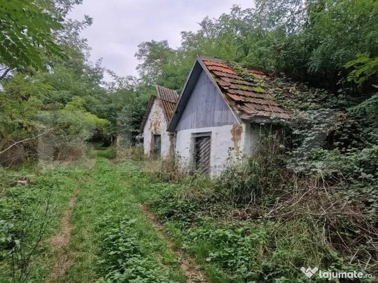Teren de 79000 mp, în Central
