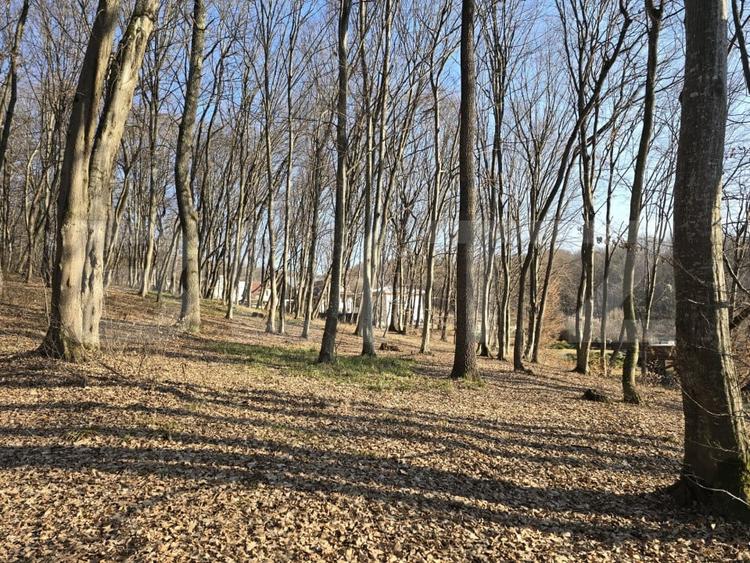 Teren intravilan de 3000 mp, în Făget