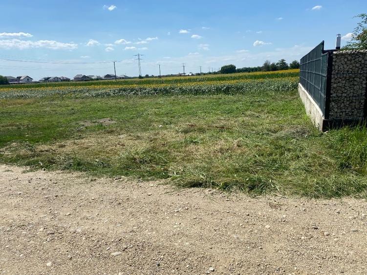 Teren Construcții intravilan de 500 mp, în Tărtășești