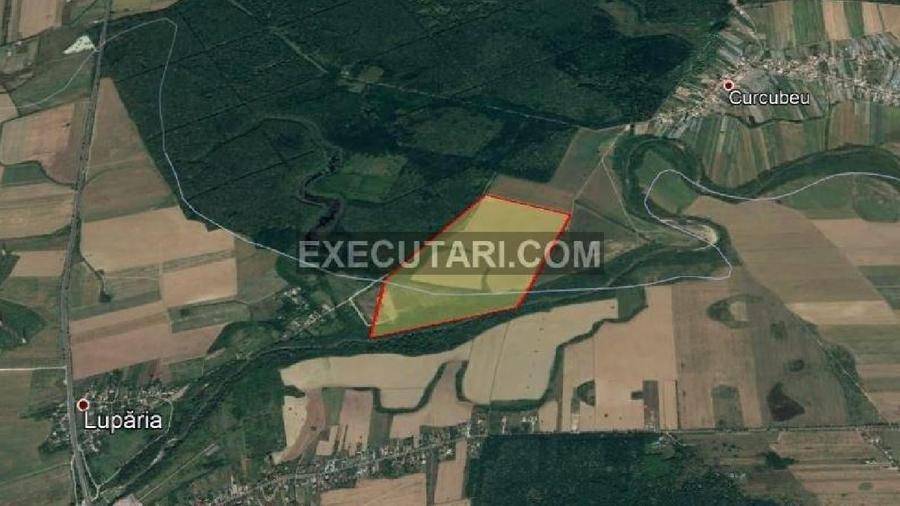 Teren agricol extravilan de 110000 mp, în Balta Doamnei