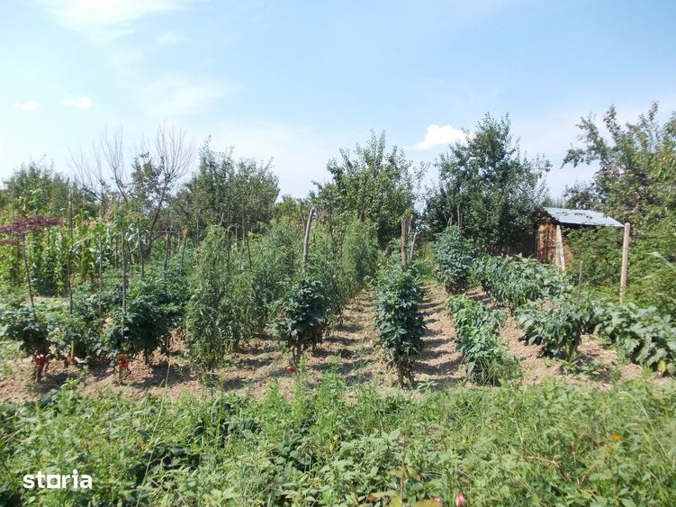 Casă cu 2 camere cu Teren 2400 Mp în Ciurea