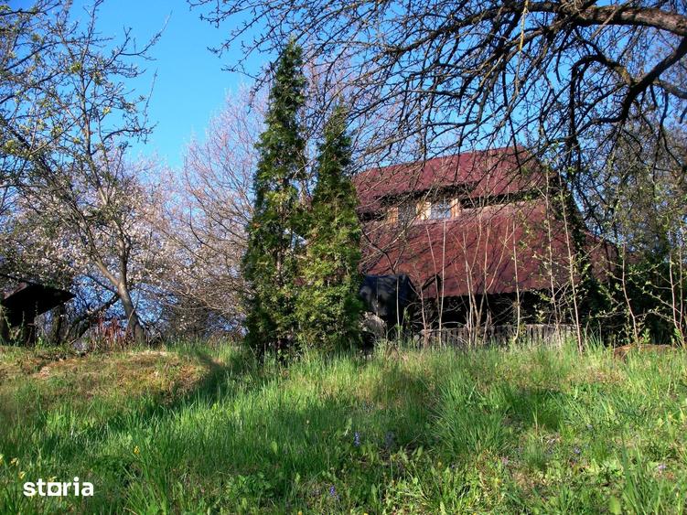 Teren de 14000 mp, în Mihai Viteazu