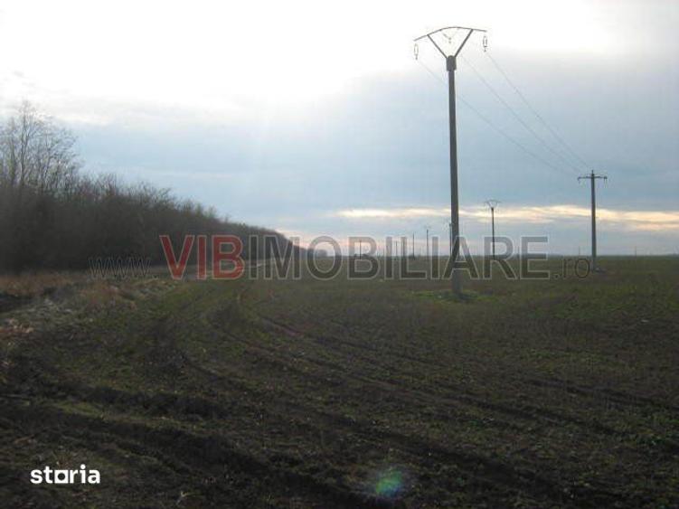 Teren de 61830 mp, în Belciugatele