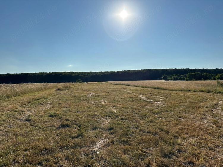 Teren de 4000 mp, în Dragomirna