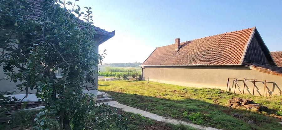 Casă cu Teren 5000 Mp în Cadea