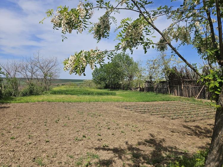Casă cu 2 camere cu Teren 2000 Mp în Brădești