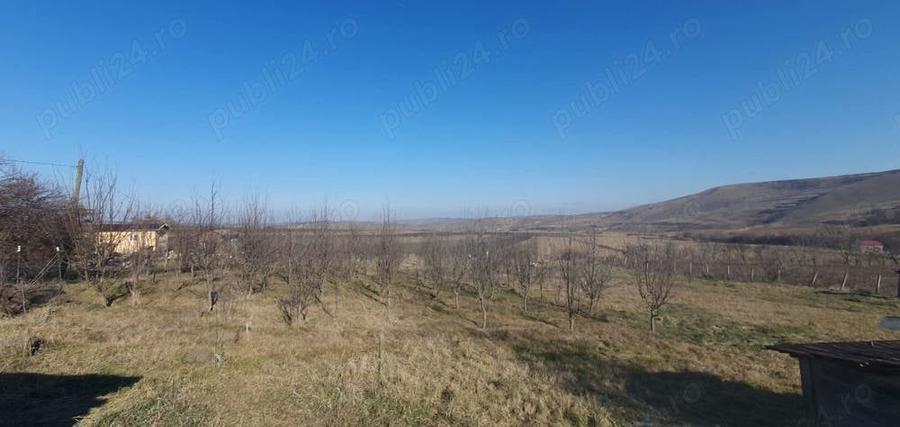 Teren de 3000 mp, în Boju