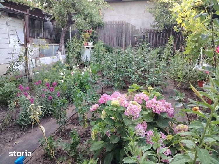 Casă cu 4 camere cu Teren 80 Mp în Central
