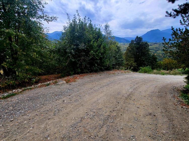 Teren de 2400 mp, în Borșa