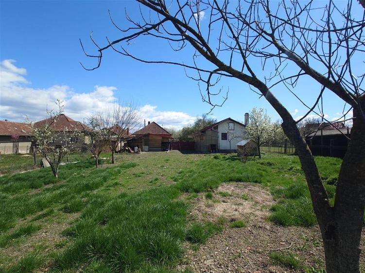 Casă individuală cu 4 camere cu Teren 3892 Mp în Baia de Criș