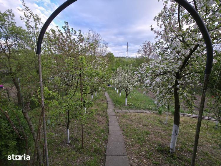 2 Case in Targu Mures singur in curte, 10 arii teren, livada, garaje