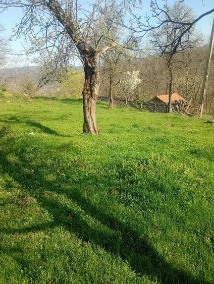 Teren Construcții intravilan de 1000 mp, în Meteș
