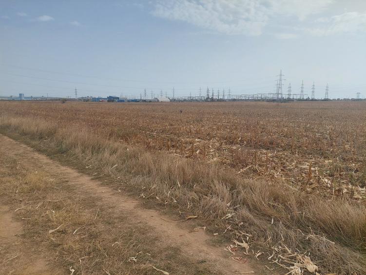 Teren Construcții intravilan de 9844 mp, în Dumbrava