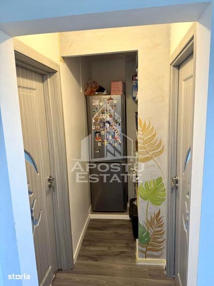 Apartament cu 3 camere în Elisabetin