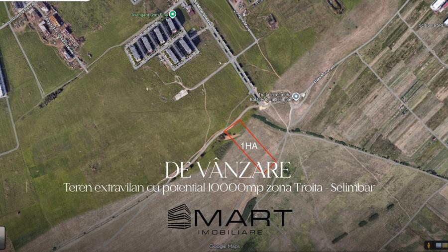 Teren de 10000 mp, în Mihai Viteazul